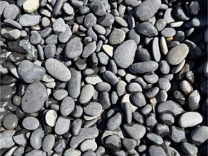 1/2"-1" Black Beach Pebble Buttons